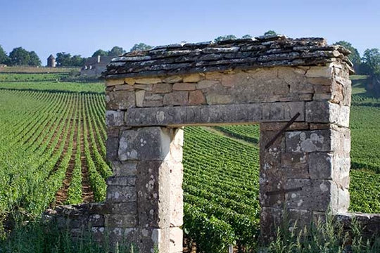 Domaine Francois D’Allaines Bourgogne