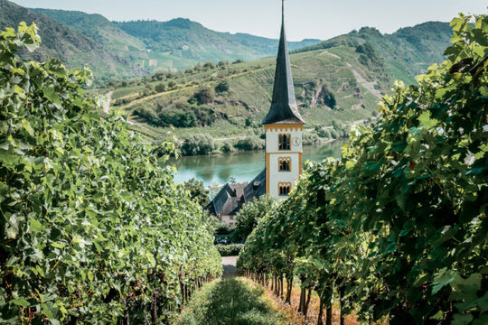 Domaine Vinsmoselle Luxemburg