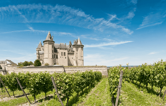 De Bordeaux